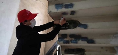 1551881590392019.jpg 04.jpg